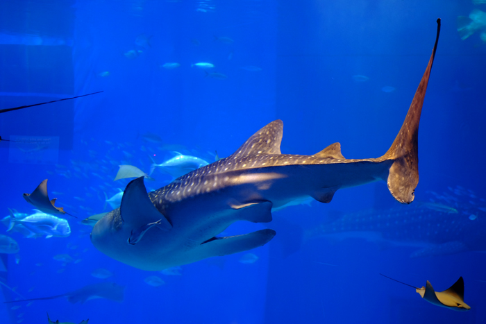 e0079696_20133996.jpg