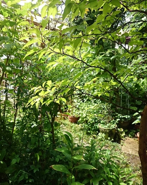 b0207497_18465059.jpg