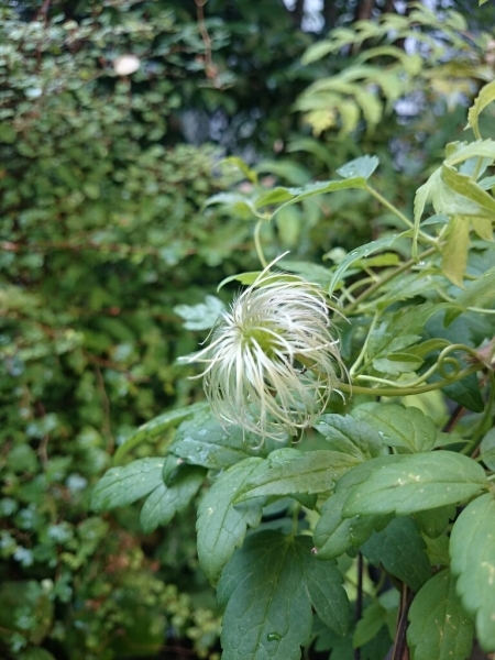 b0207497_18470201.jpg