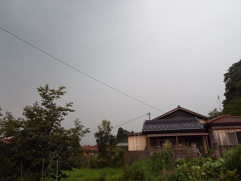 c0108198_1633372.jpg