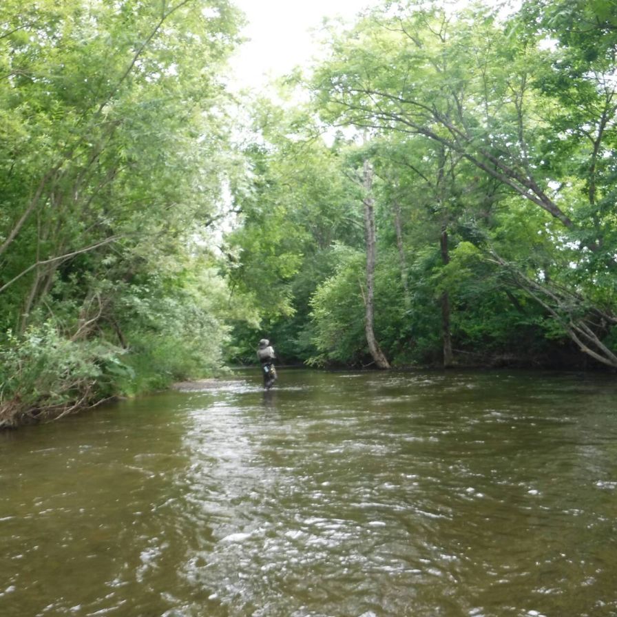 b0172805_9293933.jpg