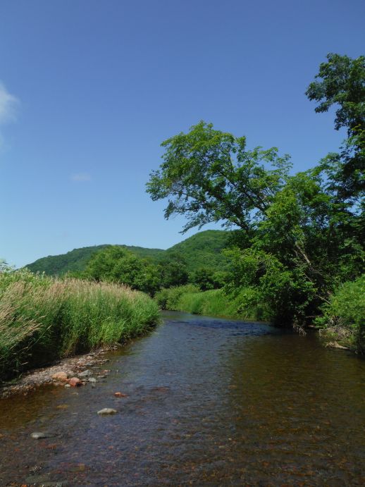b0172805_9401429.jpg
