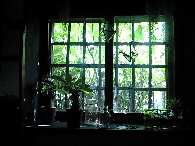 d0227308_21454610.jpg