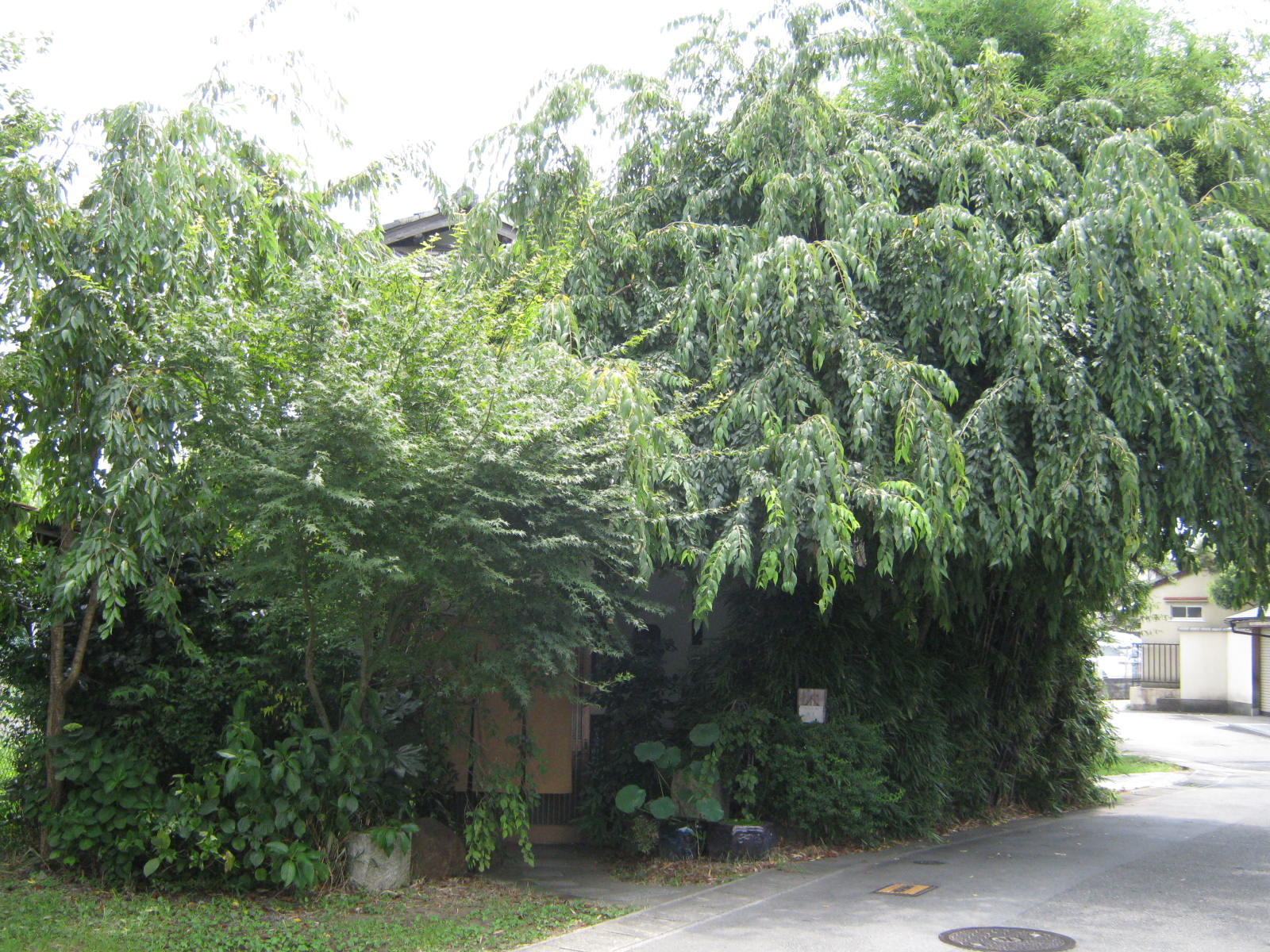 f0173908_12212220.jpg