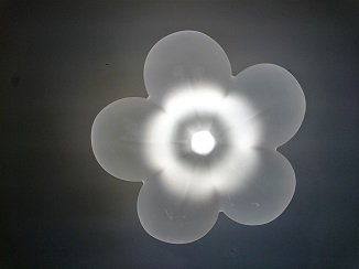 d0091909_17474365.jpg