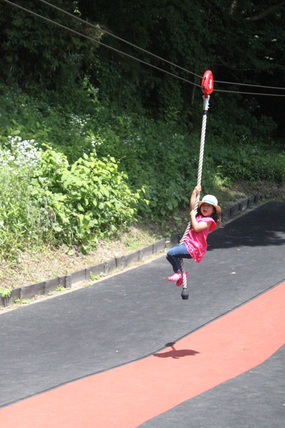f0233916_3381556.jpg