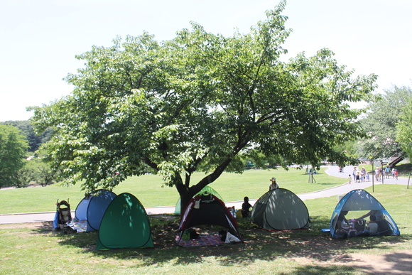 f0233916_3441230.jpg