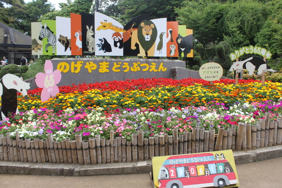 f0233916_5134596.jpg