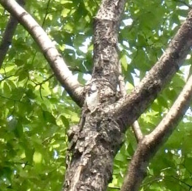 e0077517_13112622.jpg