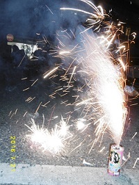 e0130935_15242117.jpg