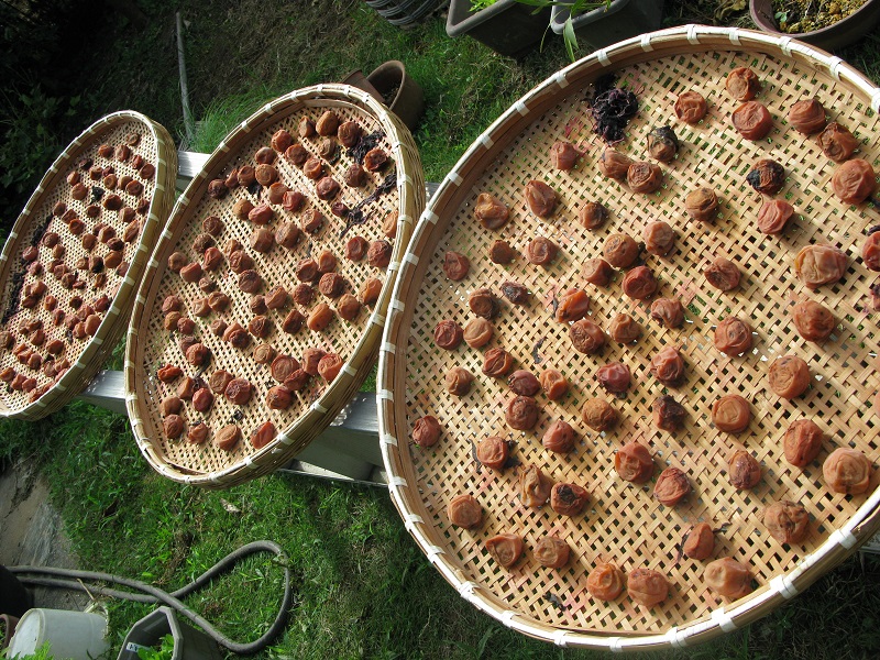 d0333943_1411925.jpg