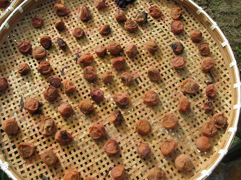 d0333943_143253.jpg