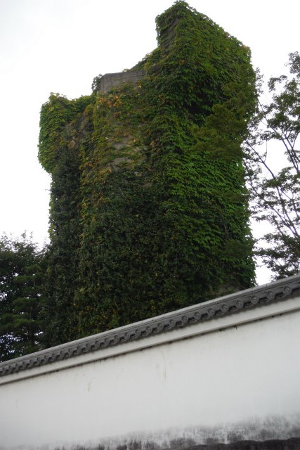c0027849_21384162.jpg