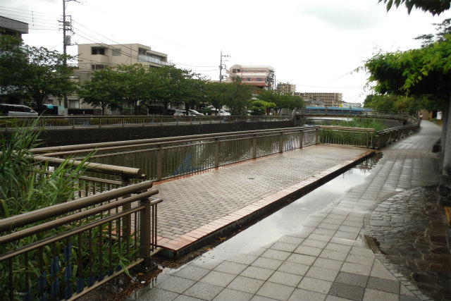 c0027849_21545233.jpg