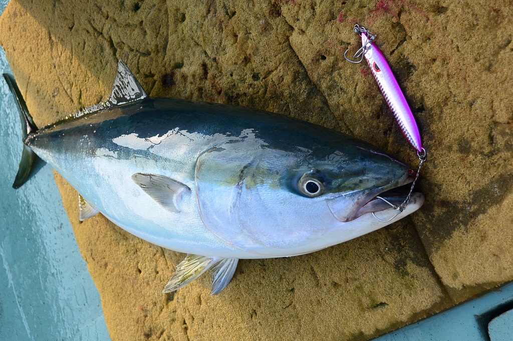 a0248152_17184938.jpg