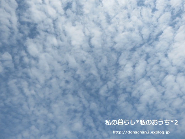 e0354456_934263.jpg