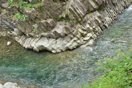 b0016557_6103937.jpg