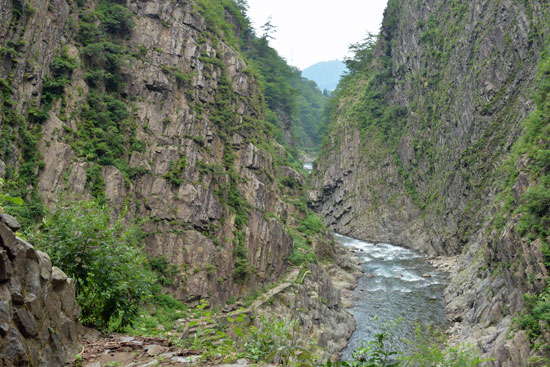 b0016557_6114539.jpg
