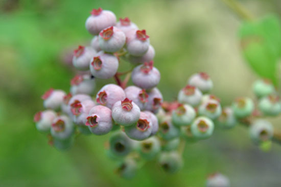 b0016557_922423.jpg