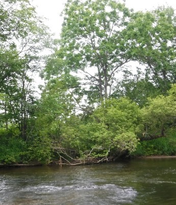 b0304662_21355848.jpg
