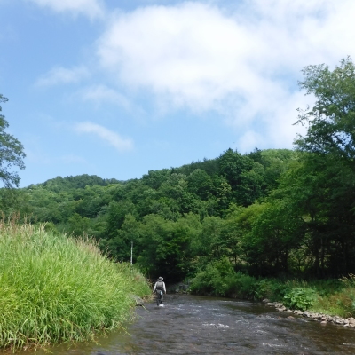 b0304662_21464464.jpg