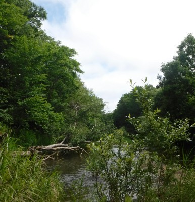 b0304662_21523977.jpg