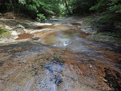 e0197164_16245873.jpg