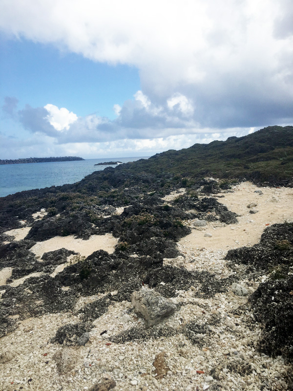 c0048265_19413798.jpg