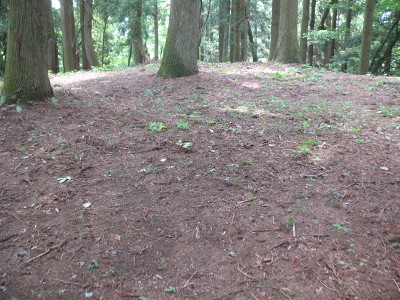 c0152274_7591232.jpg