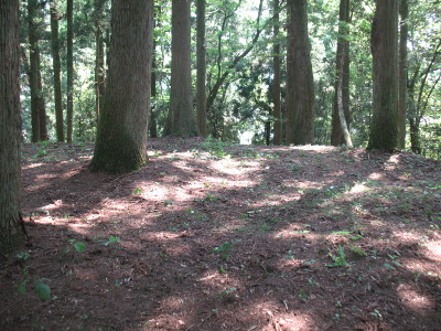 c0152274_7592466.jpg