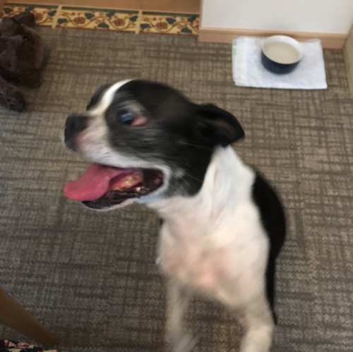 d0041575_20411070.jpeg