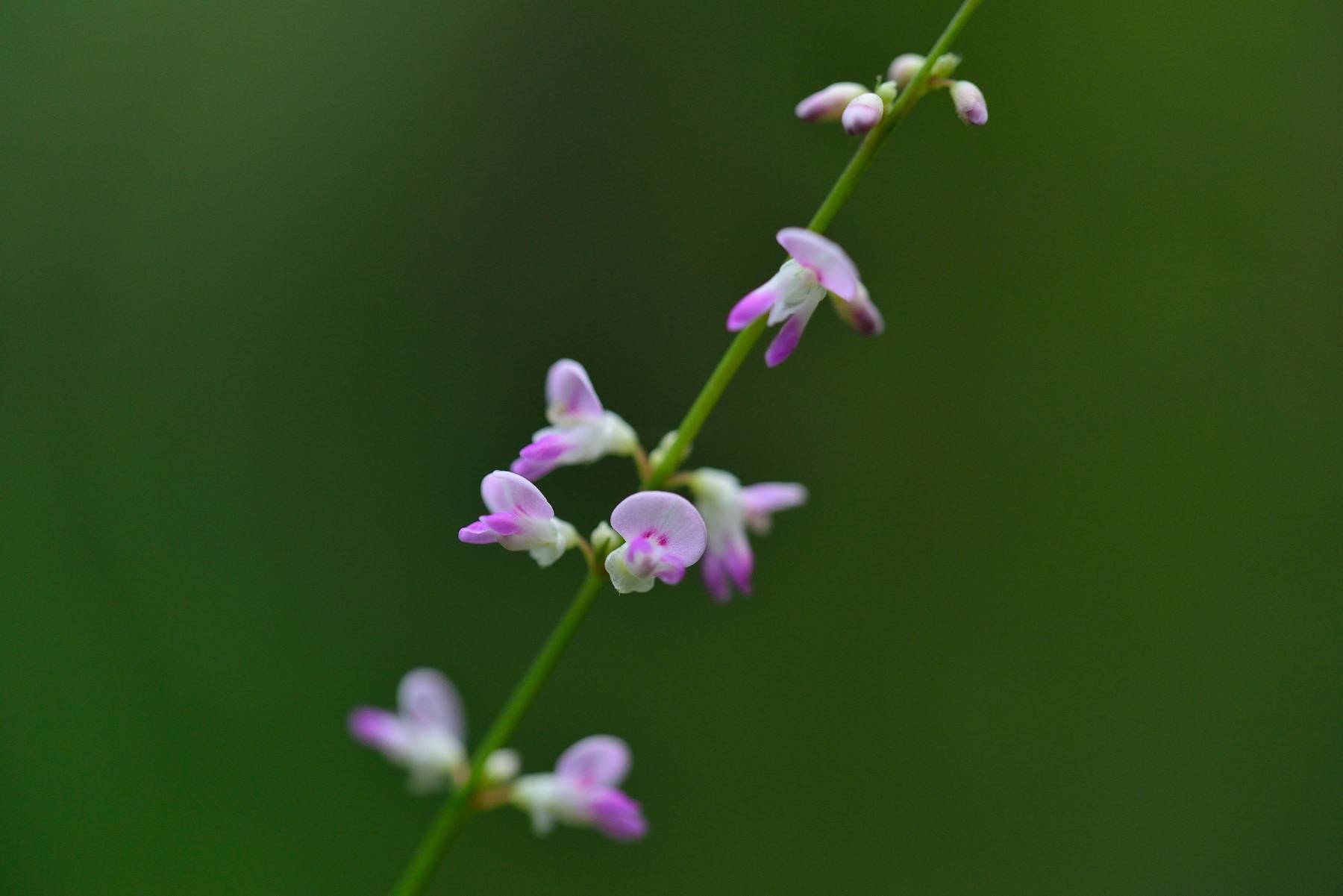 d0328977_22123105.jpg