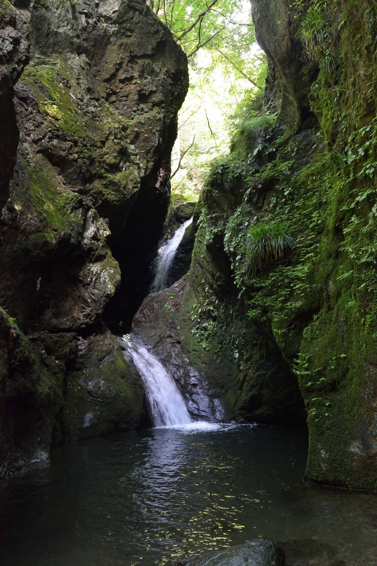 d0328977_22130161.jpg