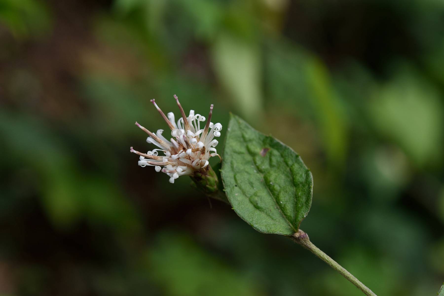d0328977_22254196.jpg