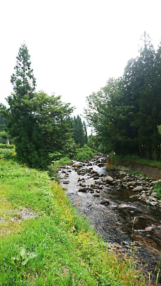 c0176183_14173930.jpg