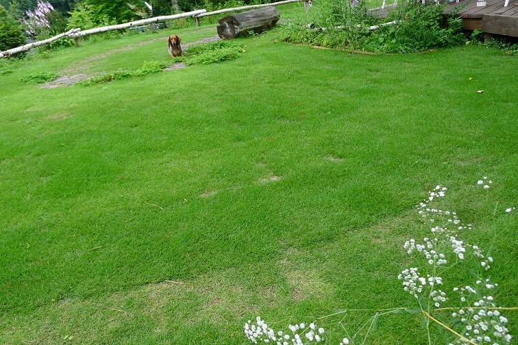 a0130586_9244325.jpg