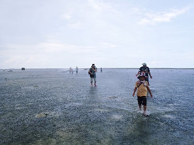 f0338188_130264.jpg
