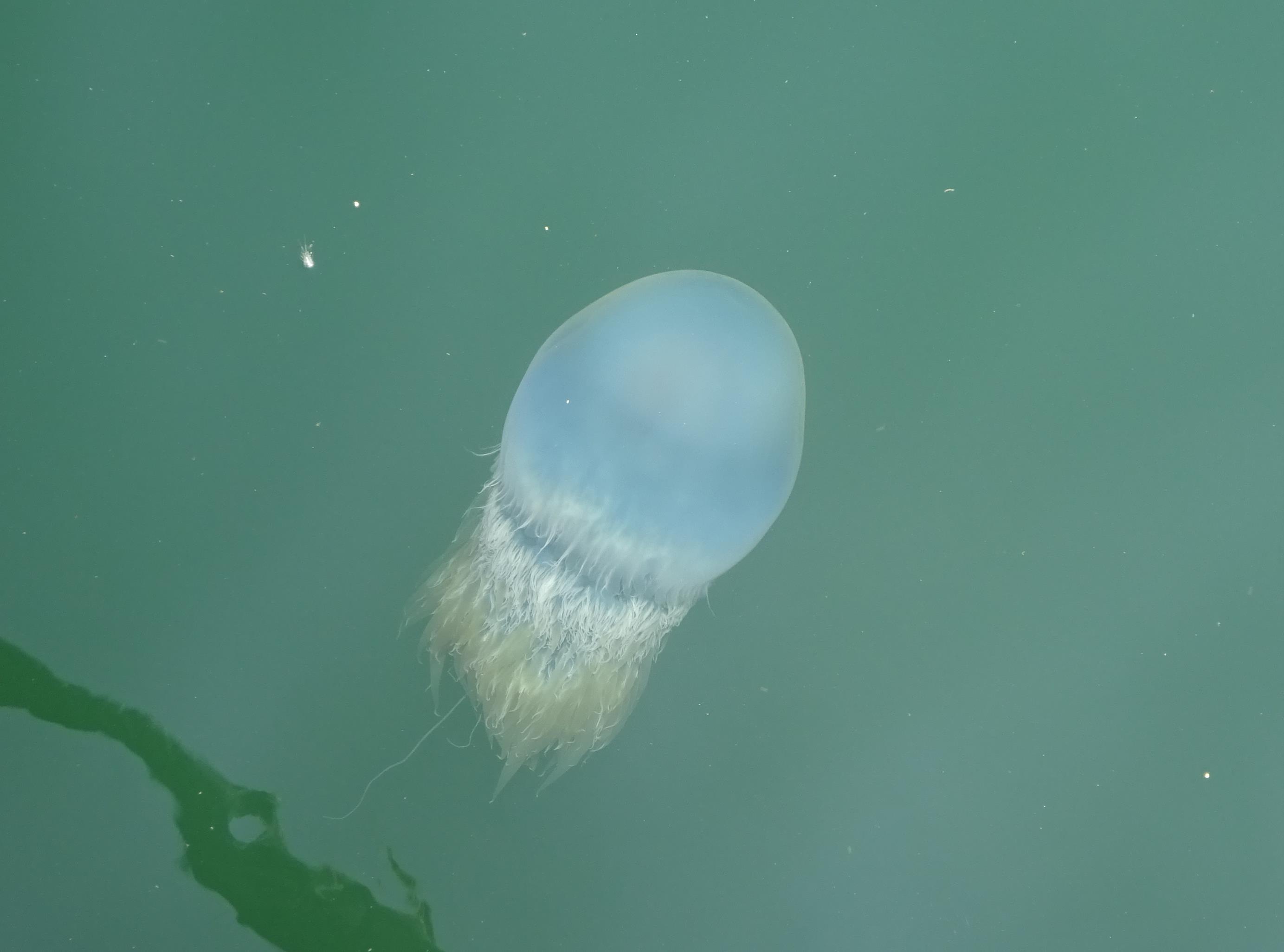f0166694_21102353.jpg