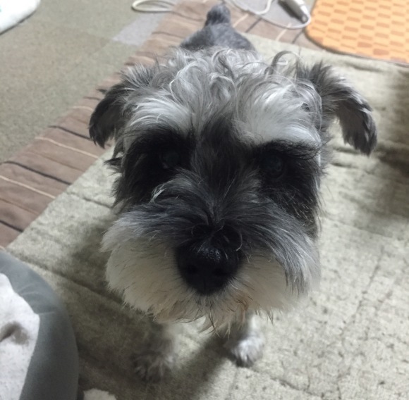 b0188998_23401554.jpeg