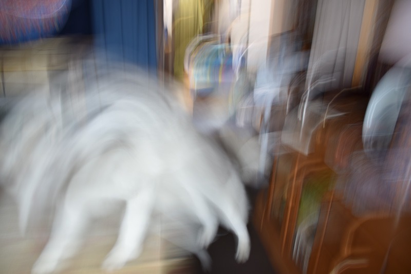 c0049299_2375218.jpg