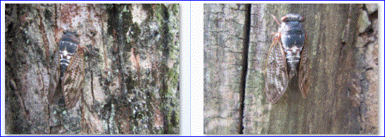 f0231709_836550.gif