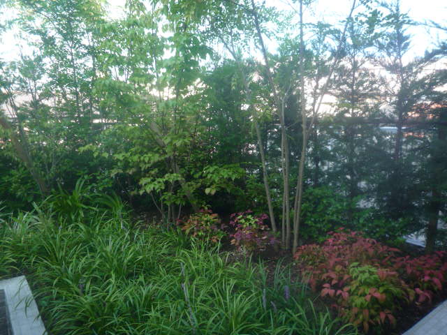 d0147611_1440852.jpg