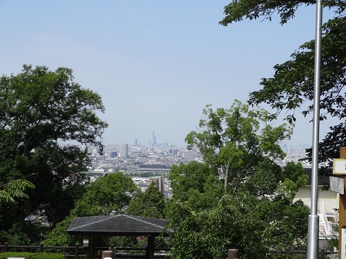 f0000521_5534552.jpg