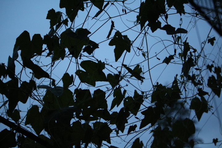 f0354923_01413159.jpg