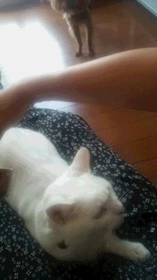 f0002833_16102013.jpg