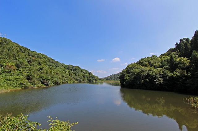 a0242438_20143518.jpg