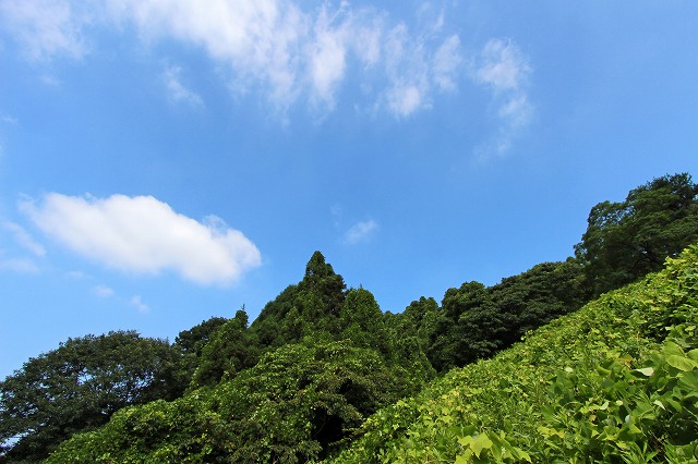 a0242438_2015383.jpg