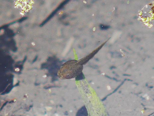 c0032138_20195749.jpg