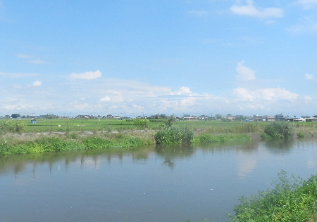 e0172950_813013.jpg