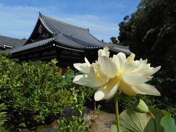 a0061057_2401249.jpg